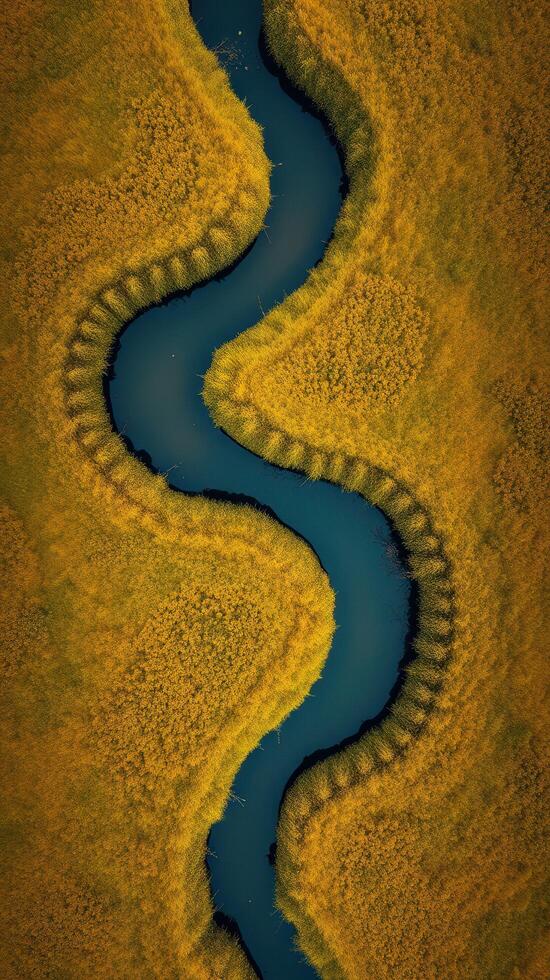 A river flowing through a field of grass photo