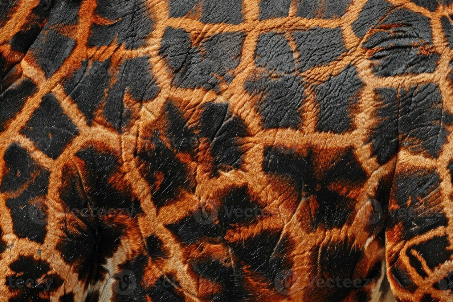 Close up on giraffe skin showing beautiful pattern and texture photo