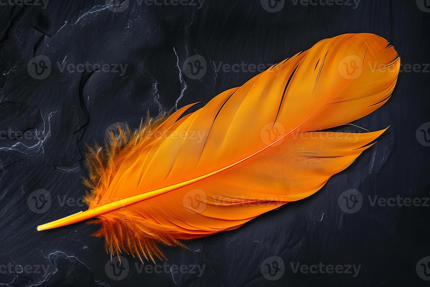 Vibrant orange feather resting on dark stone surface photo