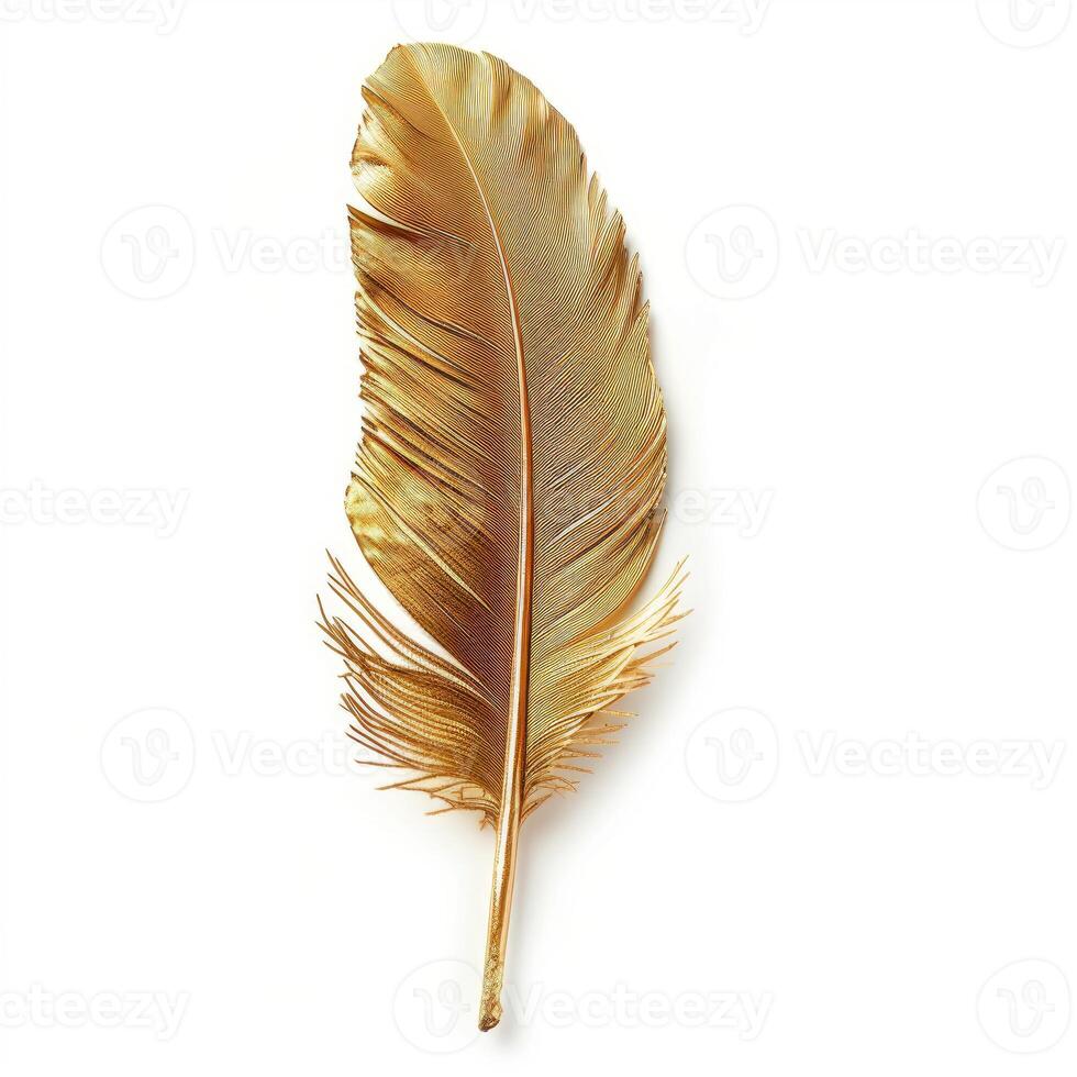 Golden feather symbolizing luxury, wealth, and elegance on white background photo