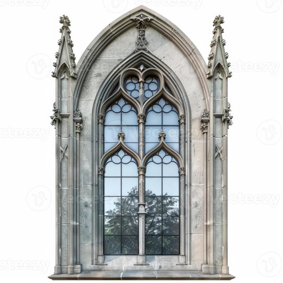 Gothic window reflecting a tree in a medieval building photo