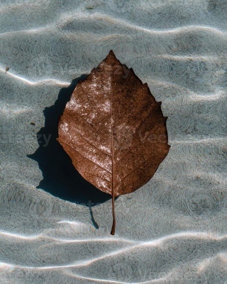 Single brown leaf floating on water with ripples photo