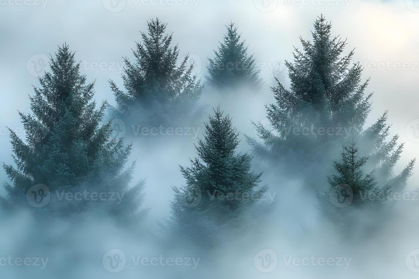 Serene Evergreen Forest in Misty Morning Light - Nature Landscape for Calm and Tranquility photo