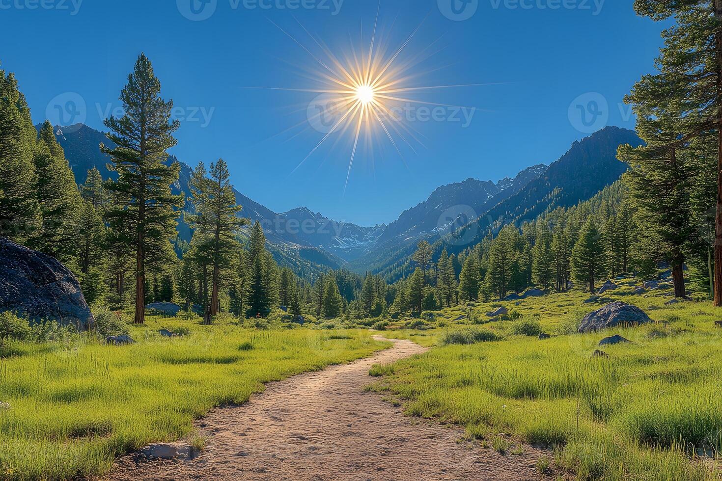 Majestic Mountain Valley Landscape with Sunburst Over Pine-Filled Meadow Path photo