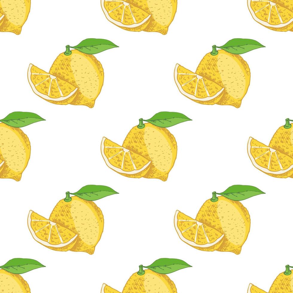 Seamless lemon pattern. A flowering plant with a single leaf. A slice of lemon and a lemon. Citrus. Lemon, lime. Great for a poster, menu or label. vector