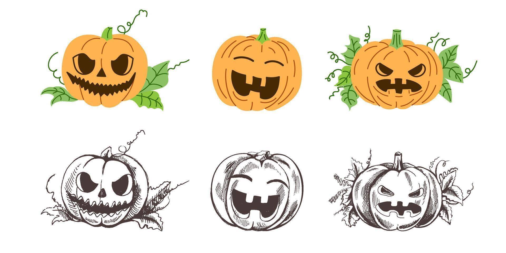 Halloween Illustration. Hand-drawn scary pumpkin sketch set. Element for labels, packaging and cards design. vector