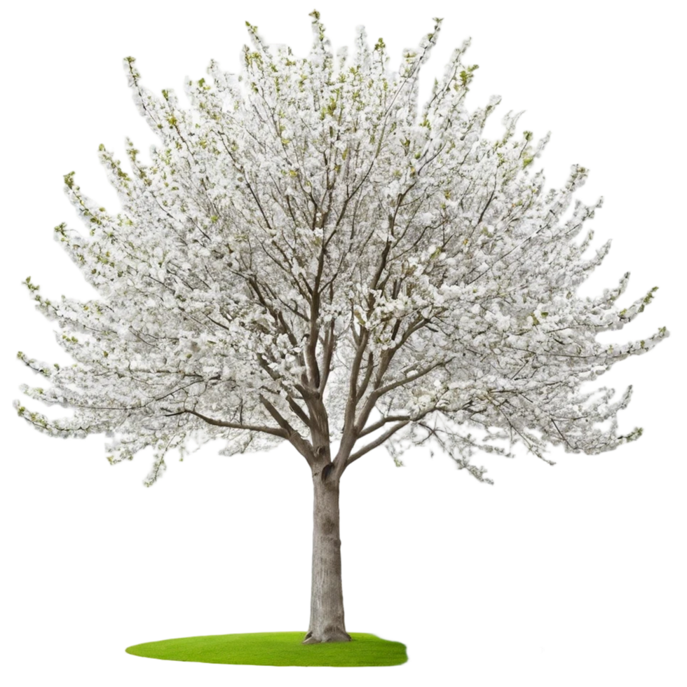 A white tree with green grass and flowers png