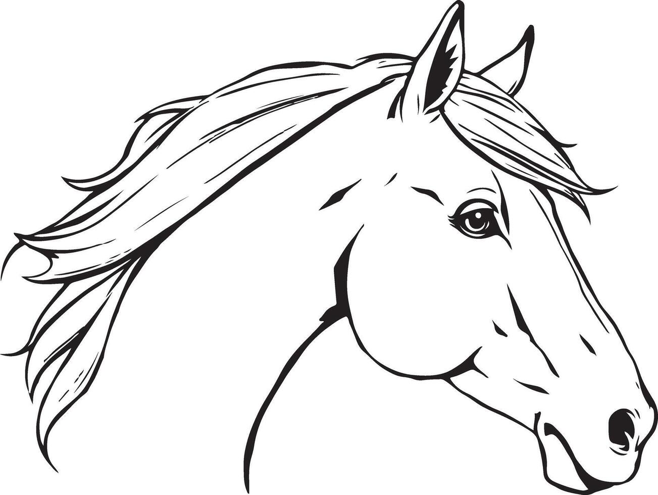 Sketch art illustration of a horse vector