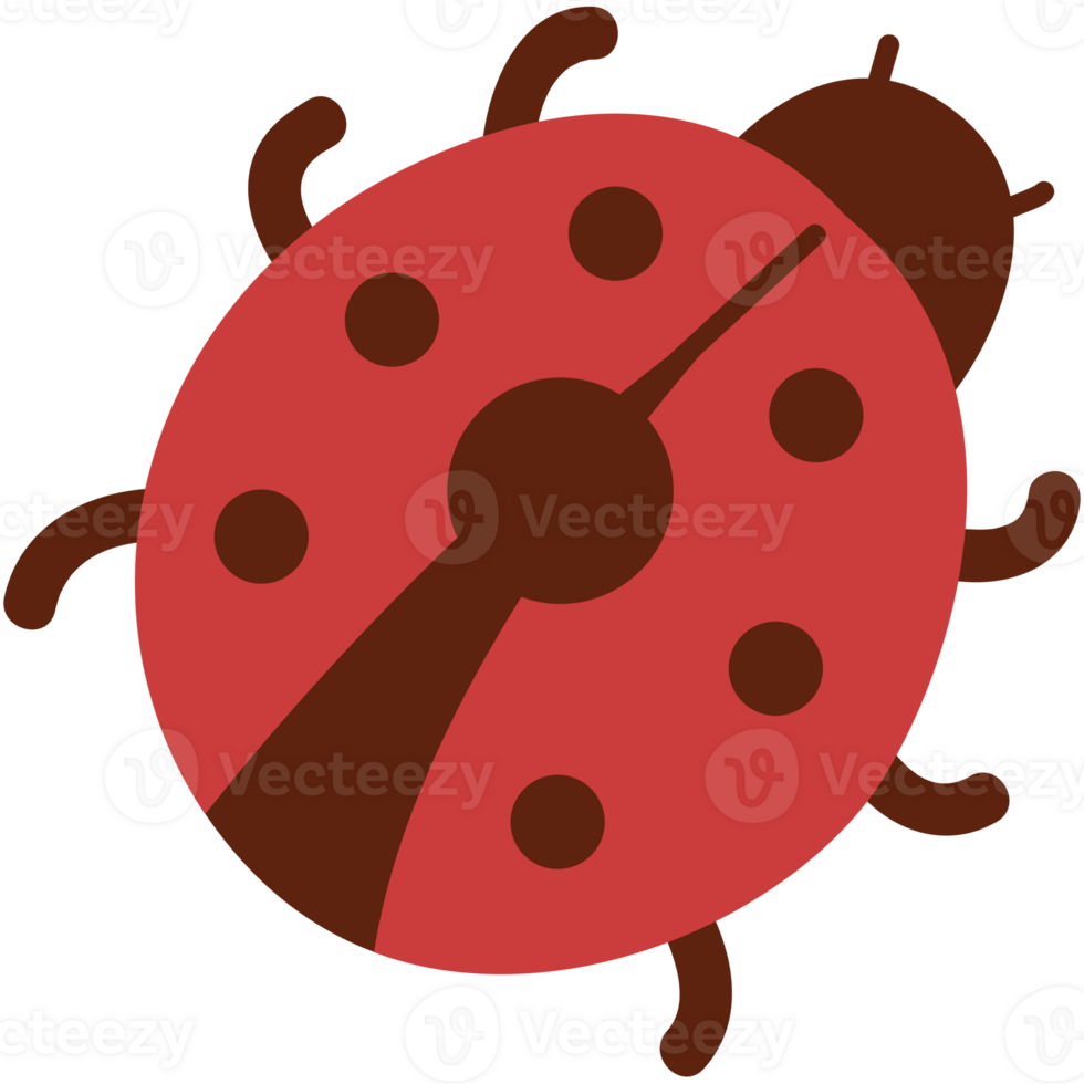 pretty ladybug hand drawn illustration png