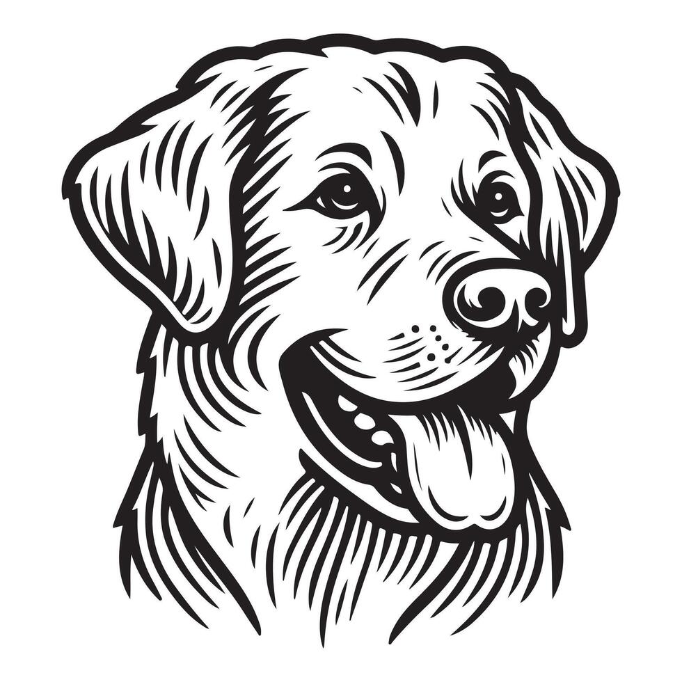 The word cocker spaniel is displayed beside a black and white image of a dog. vector