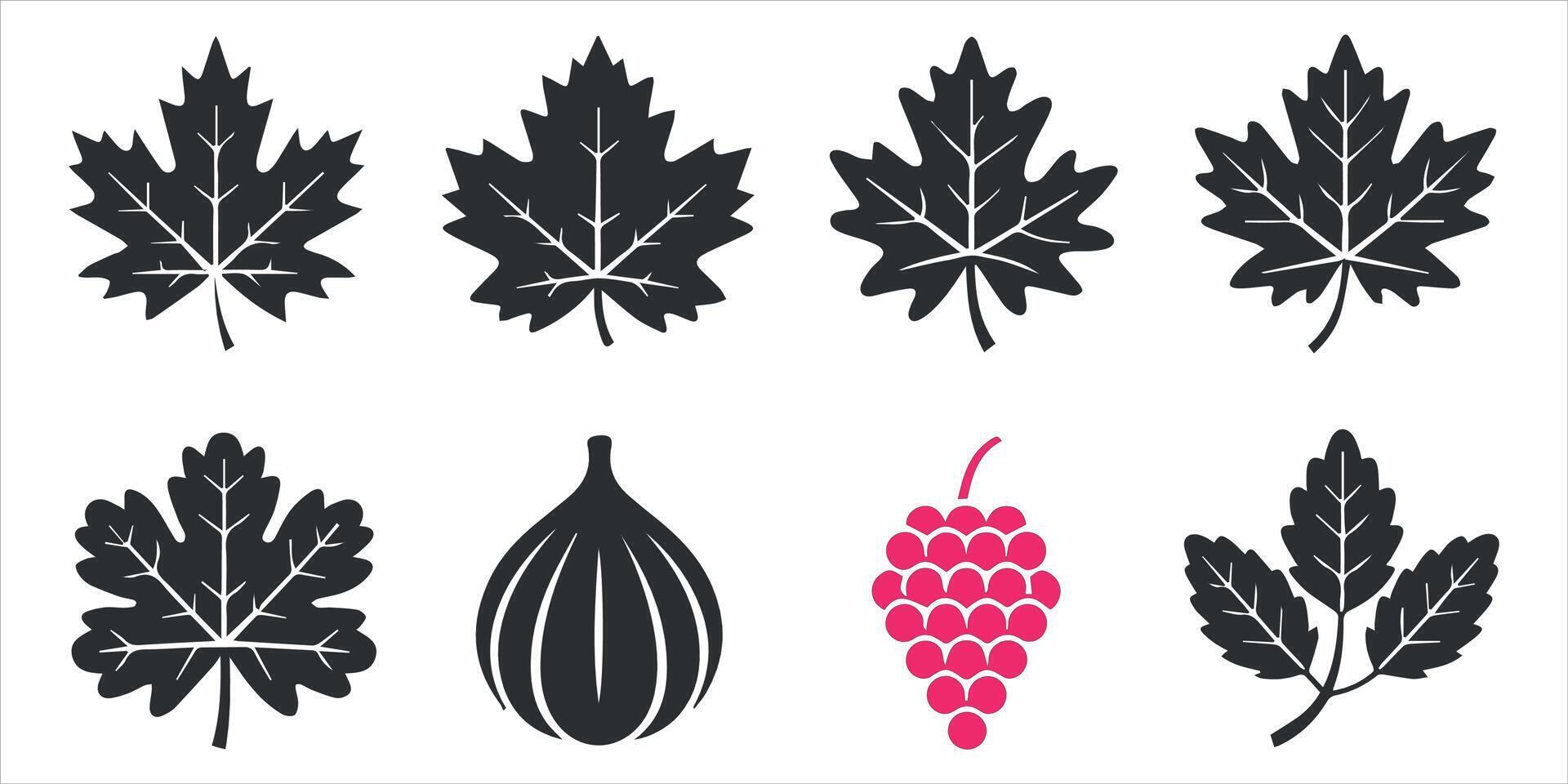 Different Type Of Leaf Icon Set. vector