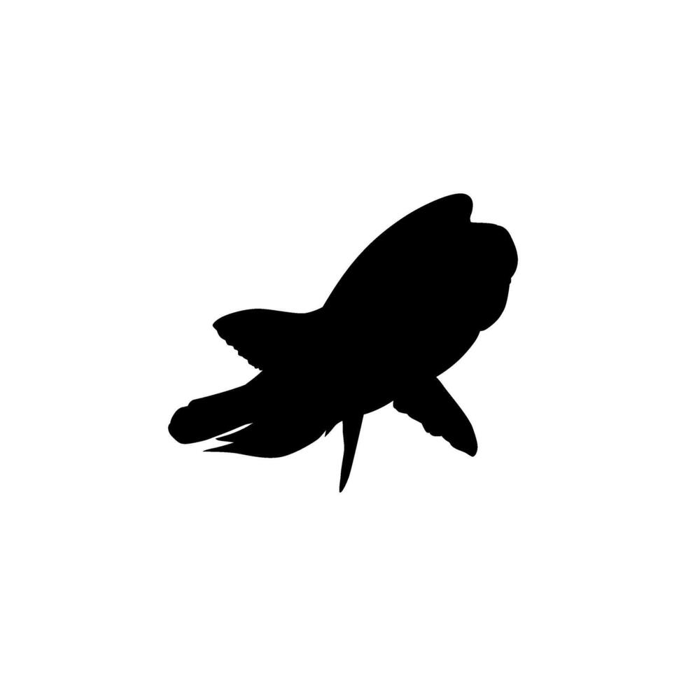 Silhouette Humphead wrasse, Cheilinus undulatus, also known as the Maori wrasse, Napoleon wrasse, Napoleon fish. Flat Style, can use for Logo Gram, Animal Illustration, Pictogram. BW and Editable. vector