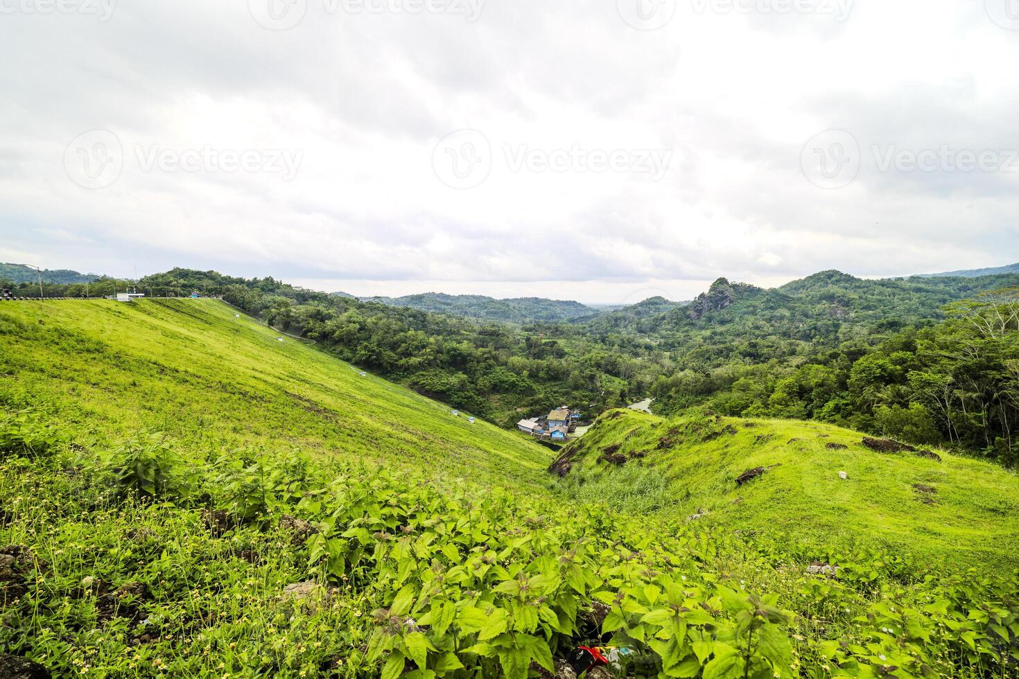 Green grass hill under cloudy sky. Tropical green meadow located in Indonesia photo