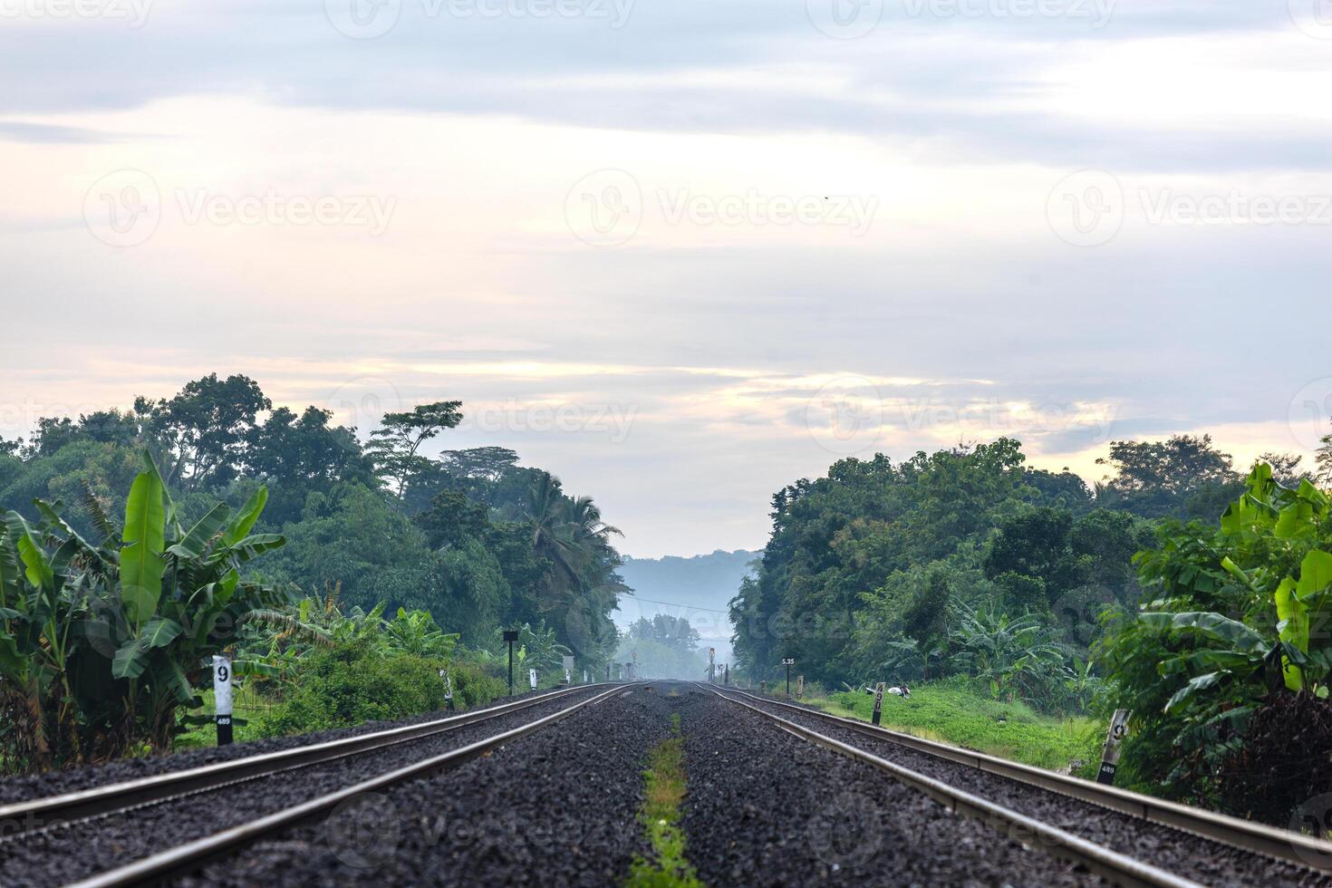 Two-Way Railway Lines Through Rice Fields in early morning. Serene Morning View of Railway Tracks and trees photo