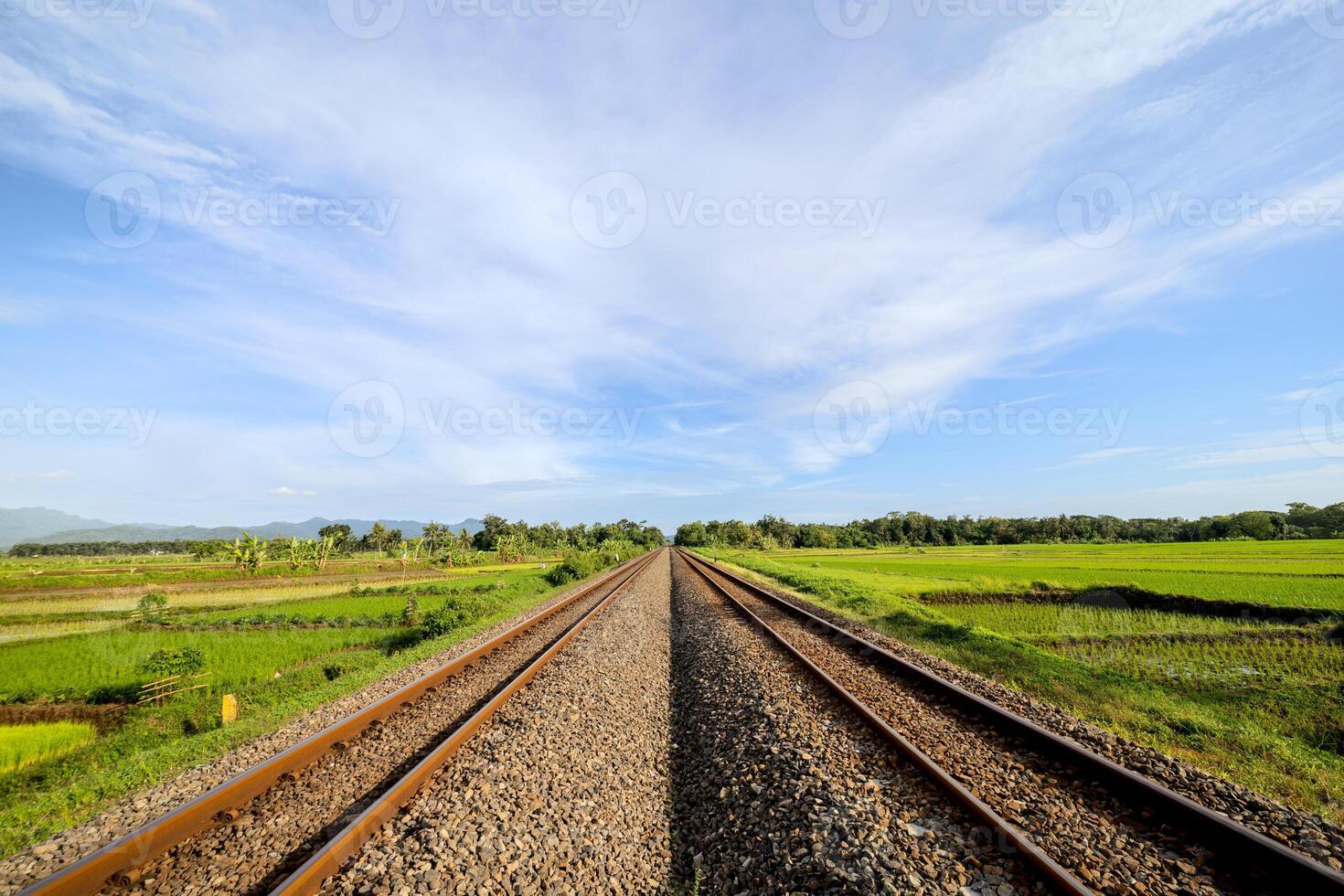 Railway Tracks Across Green Rice Fields on a Sunny Morning. Two-Way Railway Lines Through Rice Fields Under Clear Skies. Serene Morning View of Railway Tracks and Rice Paddies photo