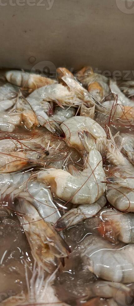 large piles of fresh and large shrimp for sale in supermarkets photo