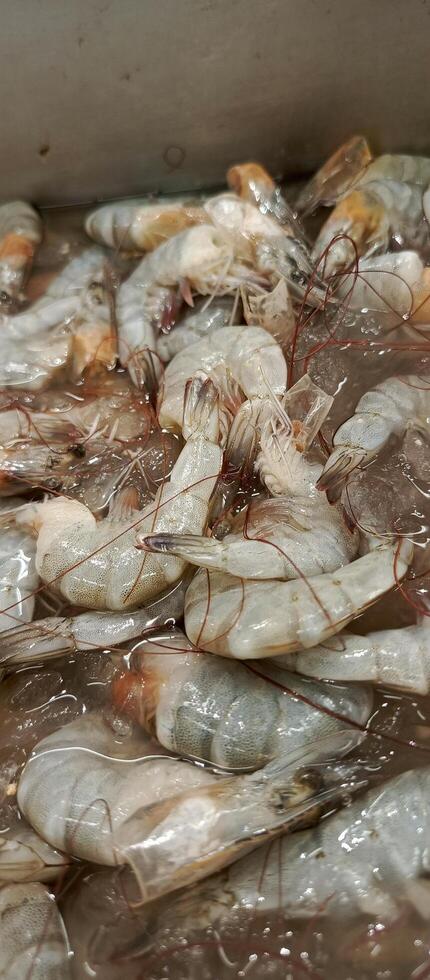 a large pile of fresh shrimp for sale in the supermarket photo