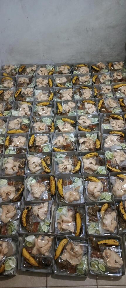 Boxed rice and neatly arranged side dishes photo