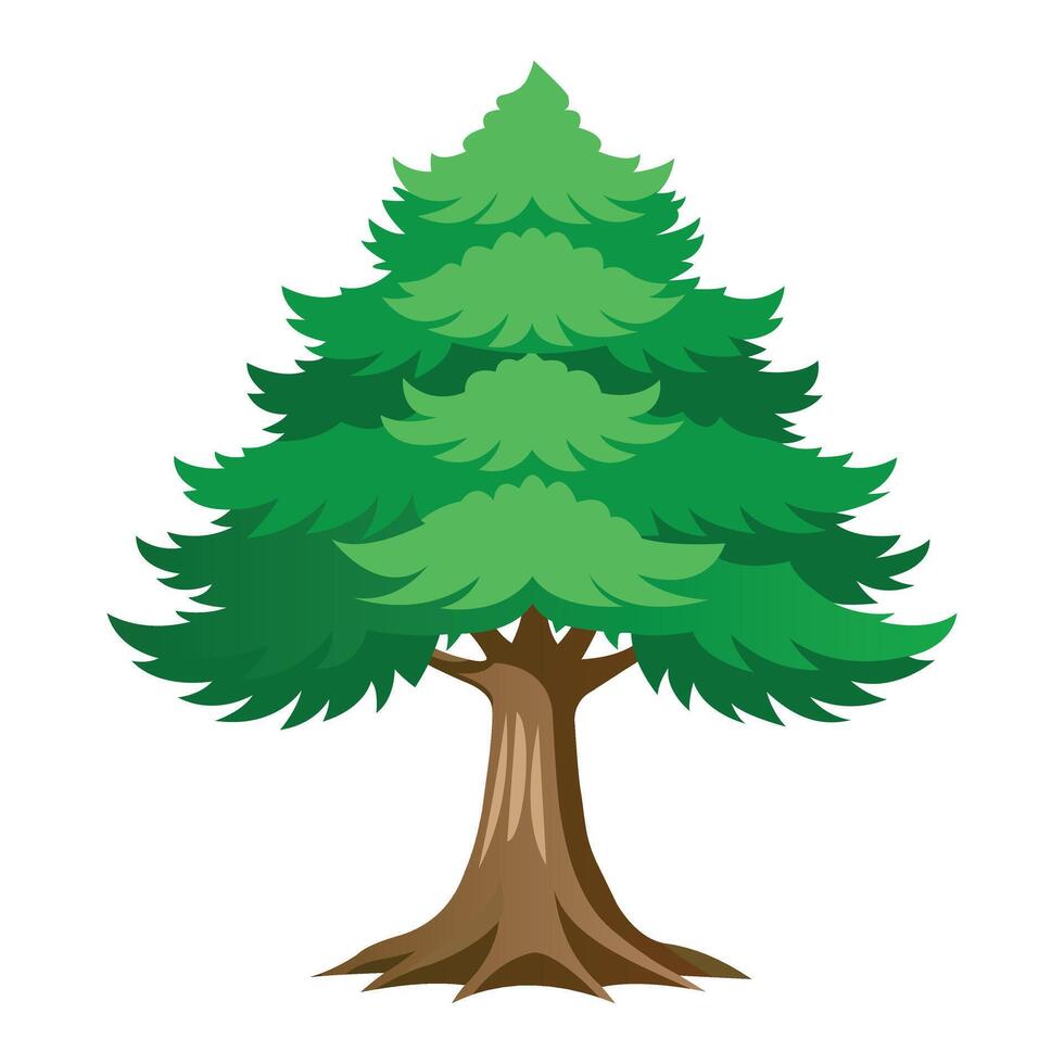 Lush Green Cedar Tree on White Background vector
