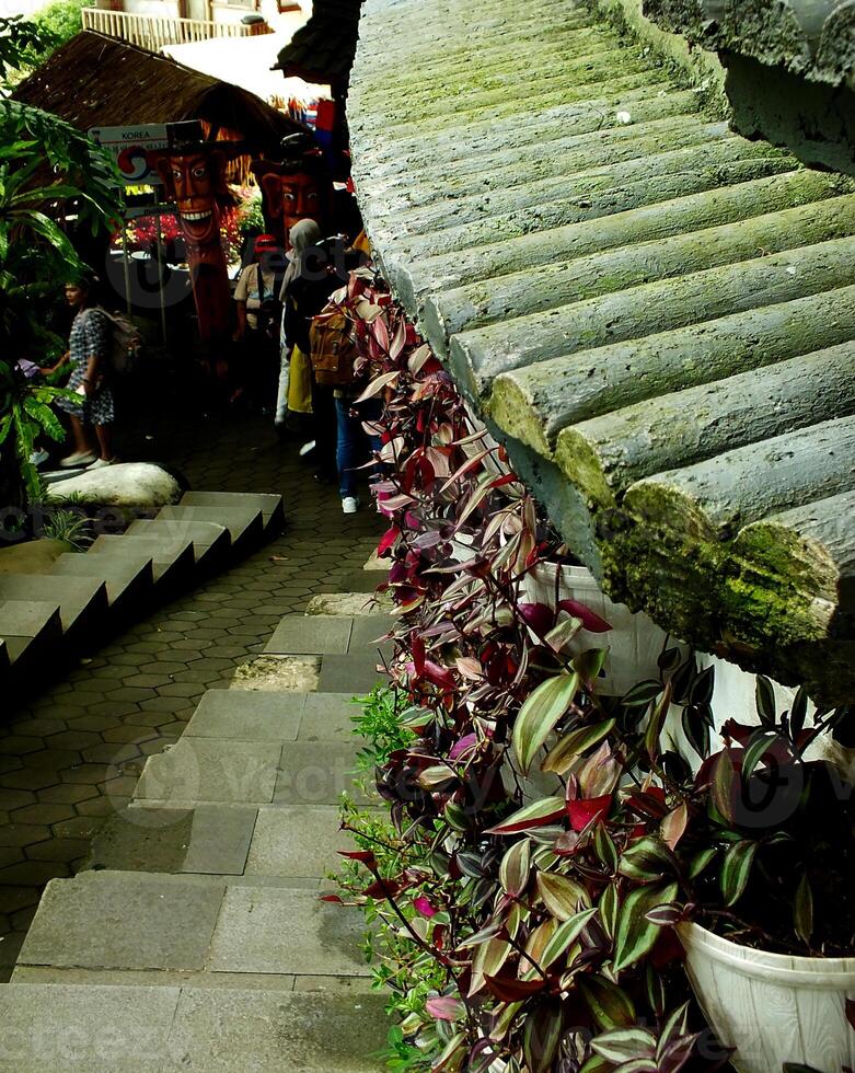 Group of people are walking down a stone staircase in front of a building with a green roof photo