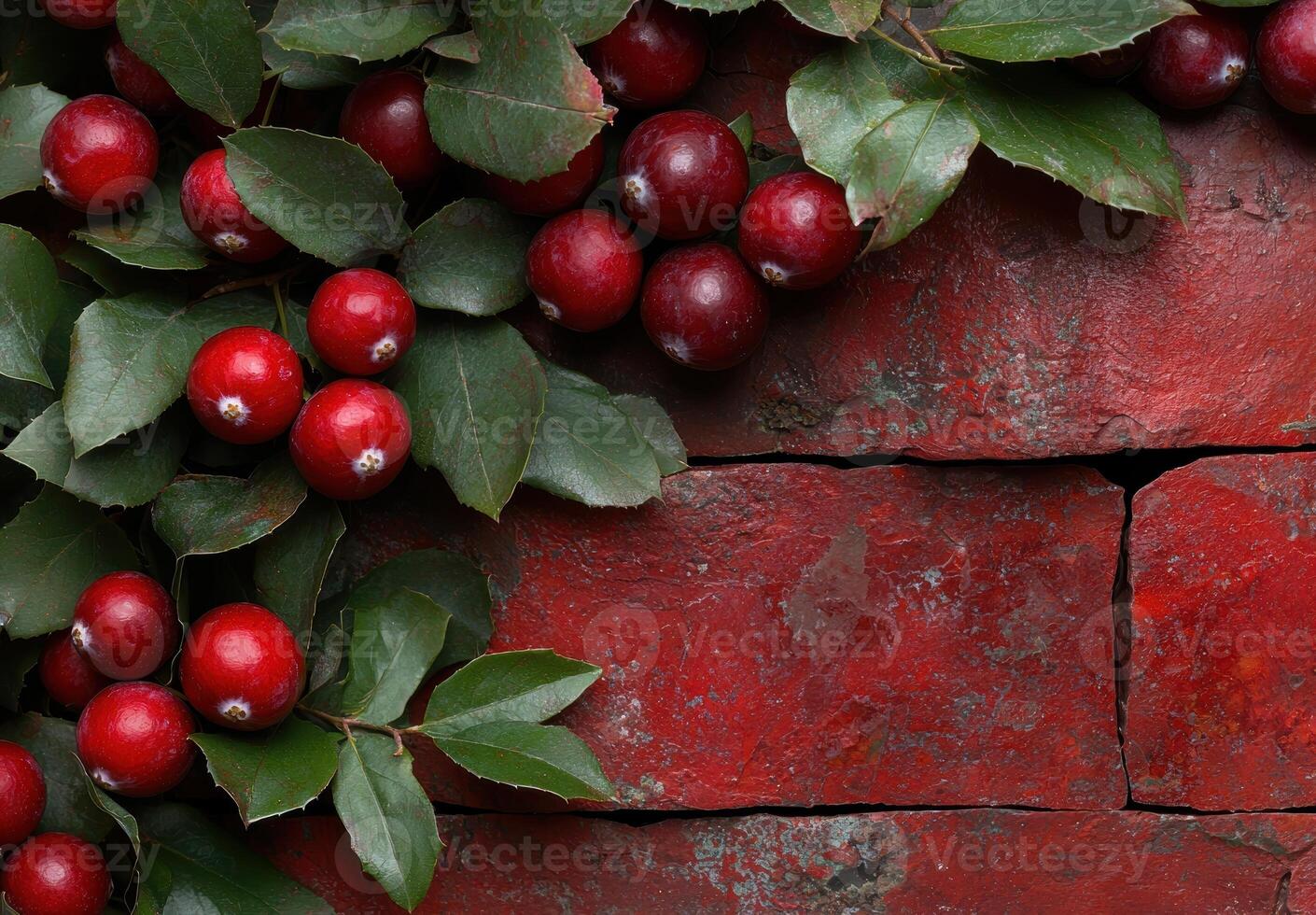 Red berries and leaves on a red brick wall photo