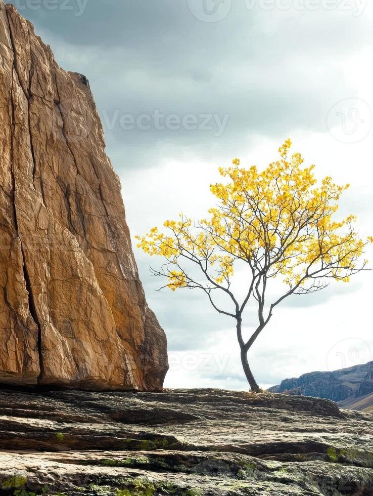 Lonely tree on rocky mountain landscape photo