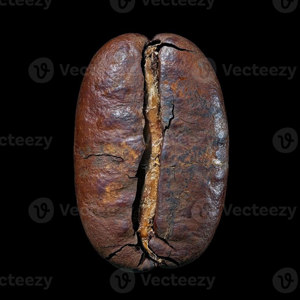 Close up of a roasted coffee bean with cracks photo