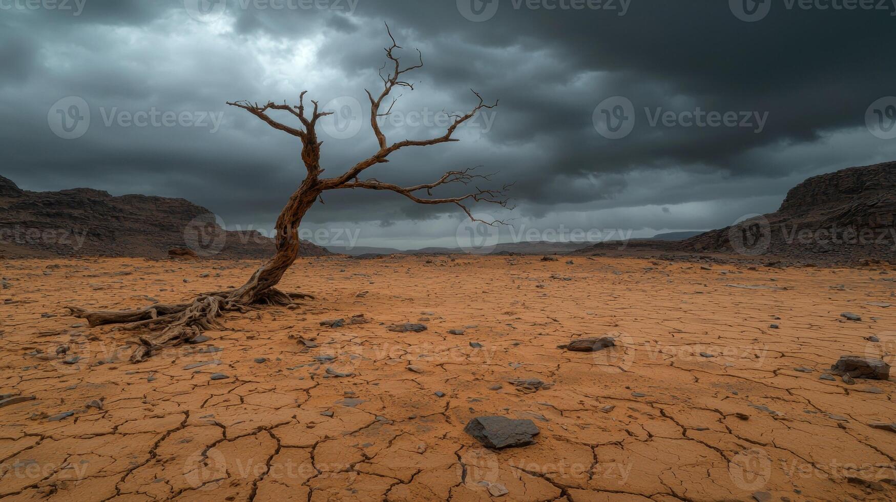 Lonely tree in a cracked desert landscape under a dramatic sky photo