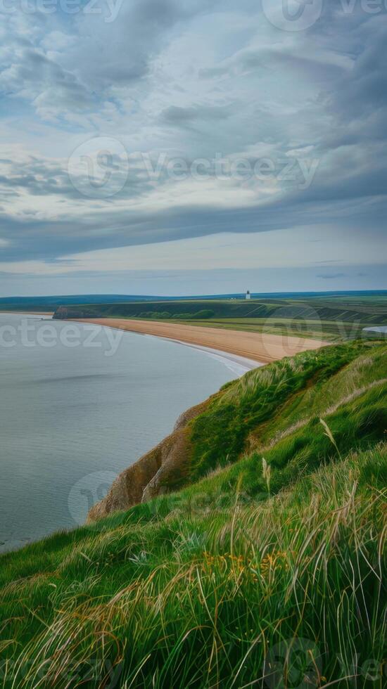 Coastline of the Baltic Sea in the evening light. Latvia photo