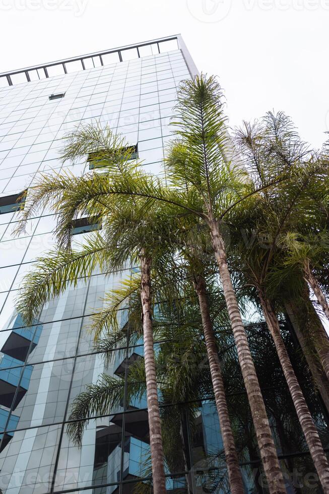 Modern architecture with palm trees in urban environment on a cloudy day photo