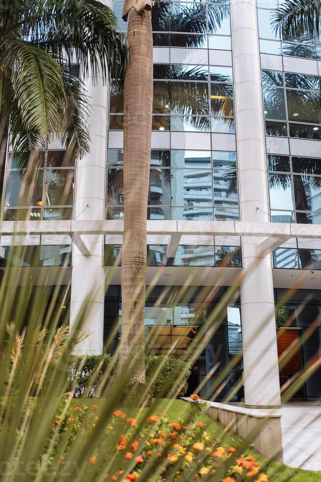 Modern building exterior with palm trees and greenery in urban setting photo