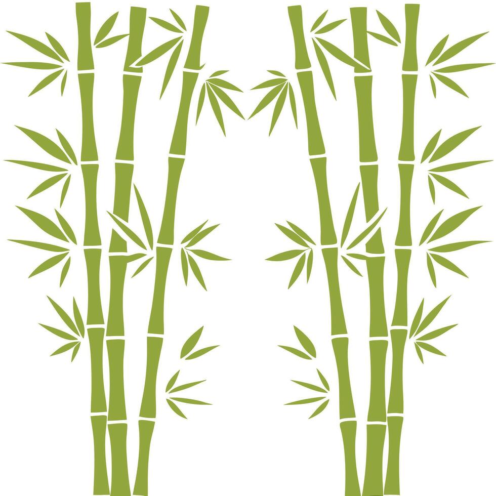 Green Bamboo Illustration for Decorative Design. vector