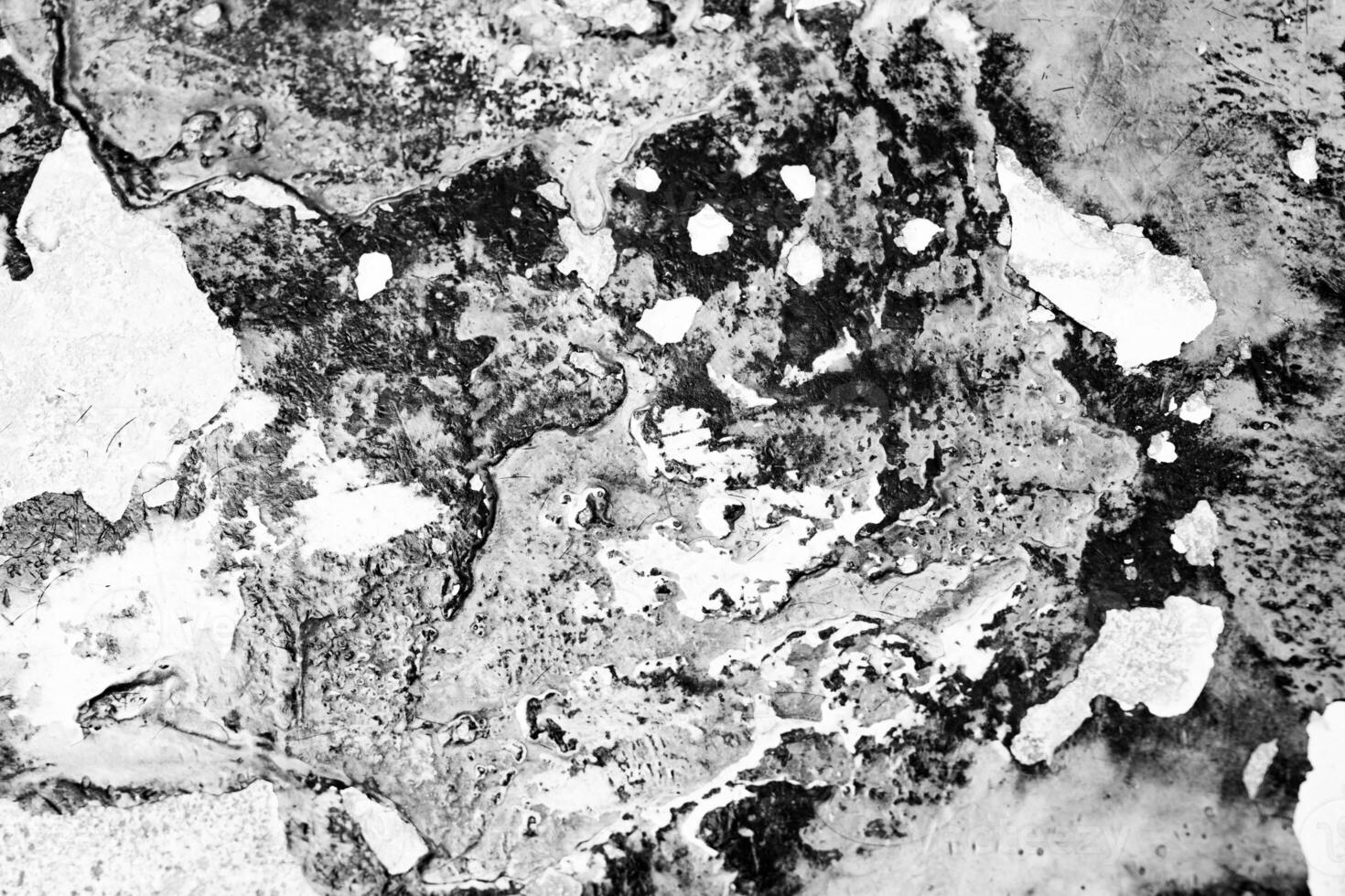 Abstract black and white texture highlighting natural patterns and forms photo