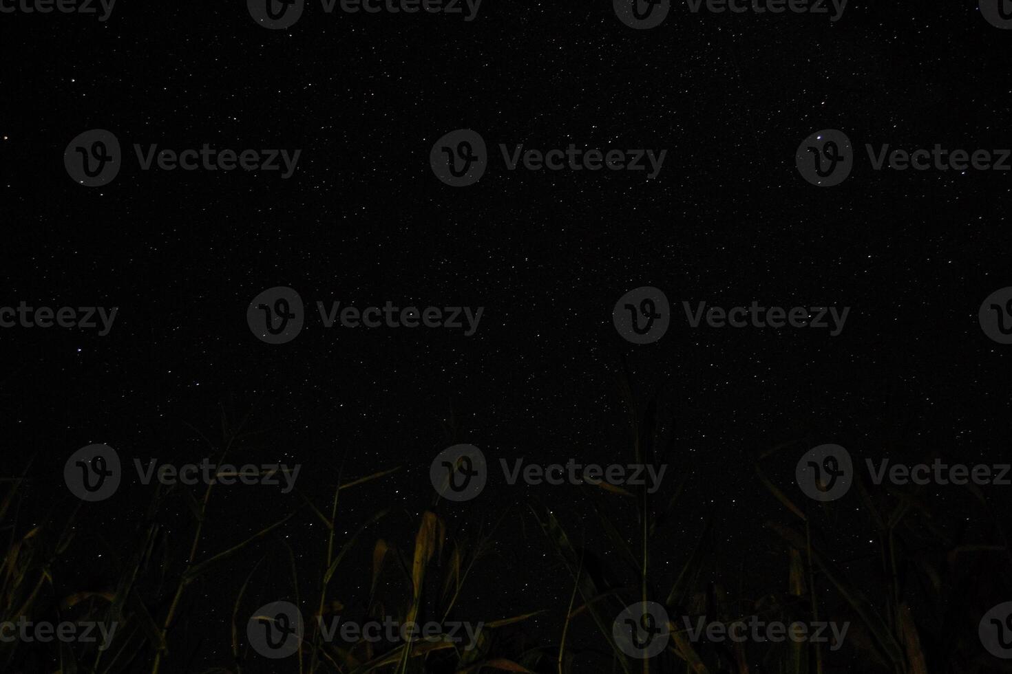 A beautiful night sky with bright stars. Deep space. photo