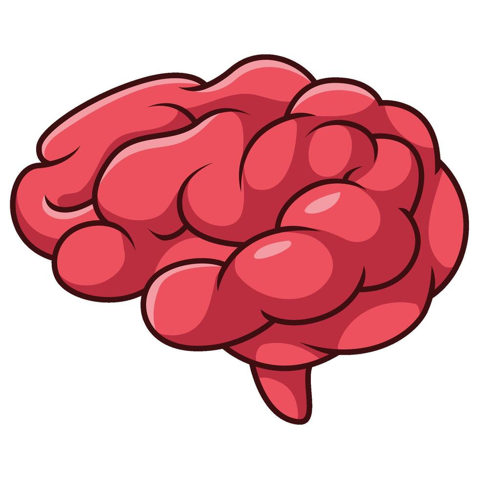 Cartoon human brain organ on white background vector
