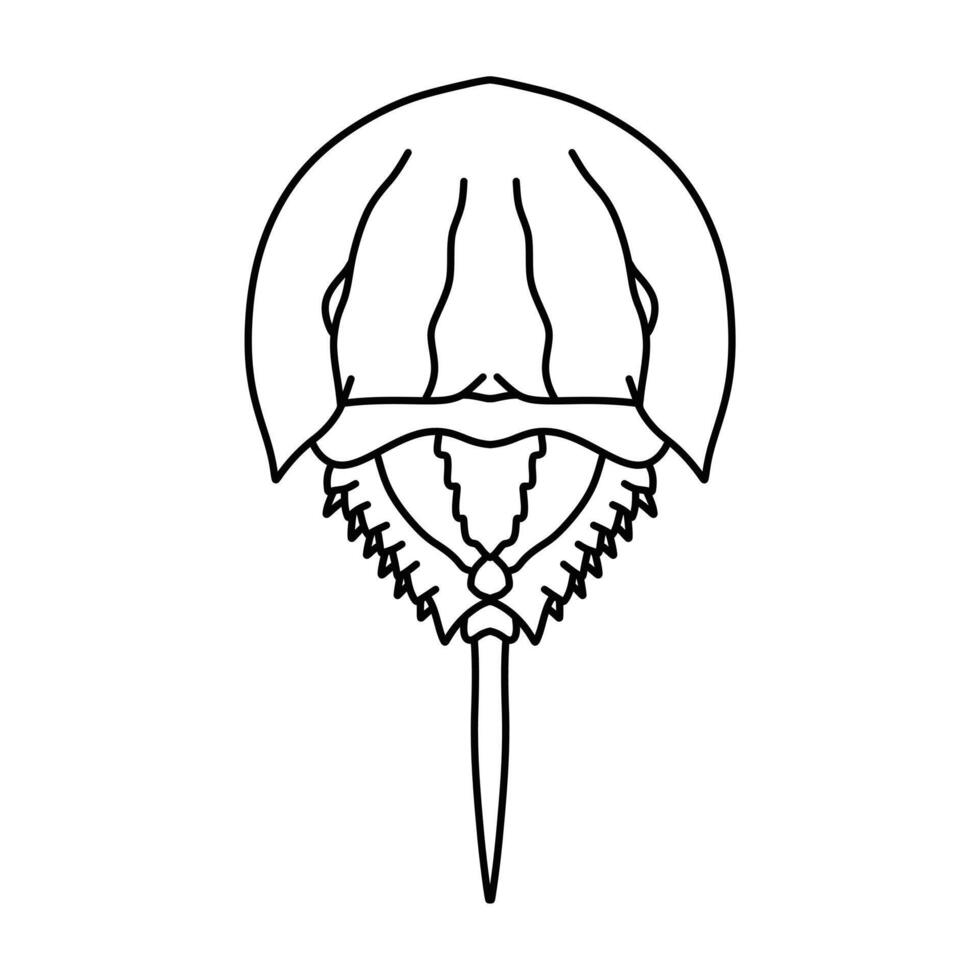 horseshoe crab shell illustration isolated on white background vector