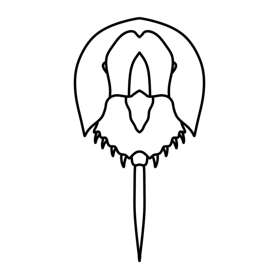 Horseshoe Crab illustration vector