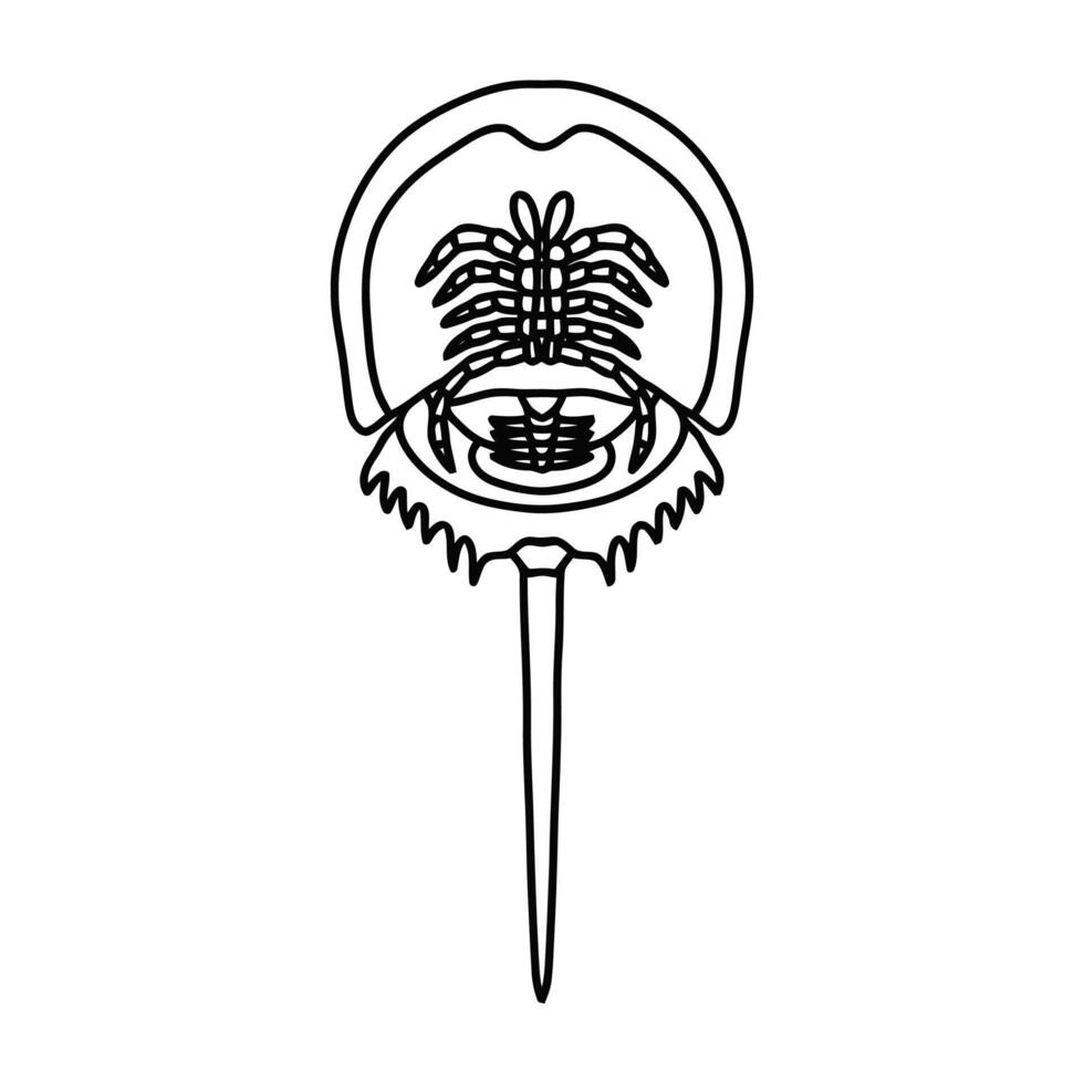 horseshoe crab illustration icon Isolated on White Background vector