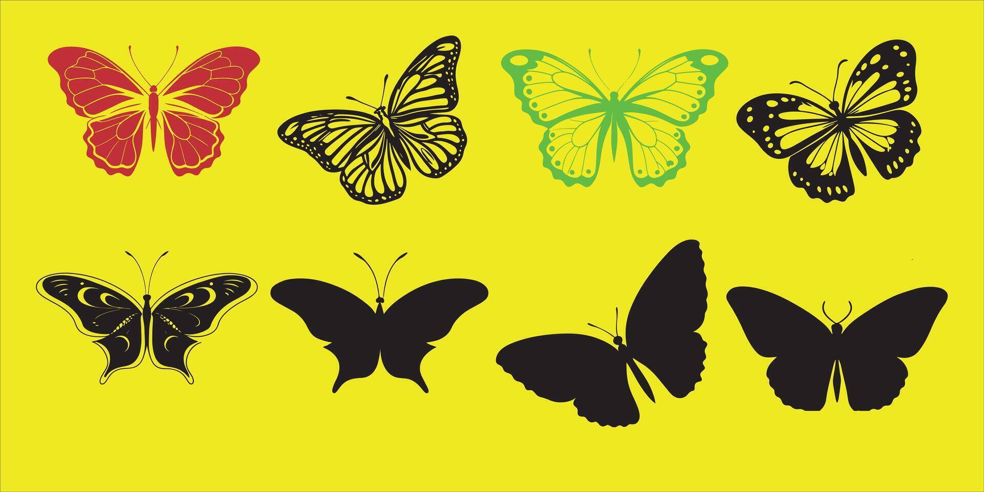 The Most Beautiful Butterflies in the World vector