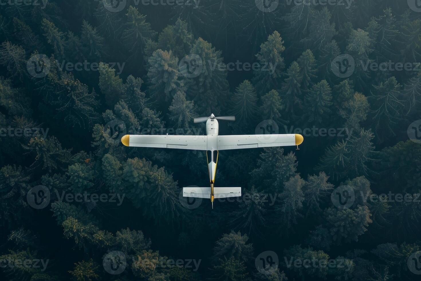 Small plane flying above evergreen forest in remote area photo