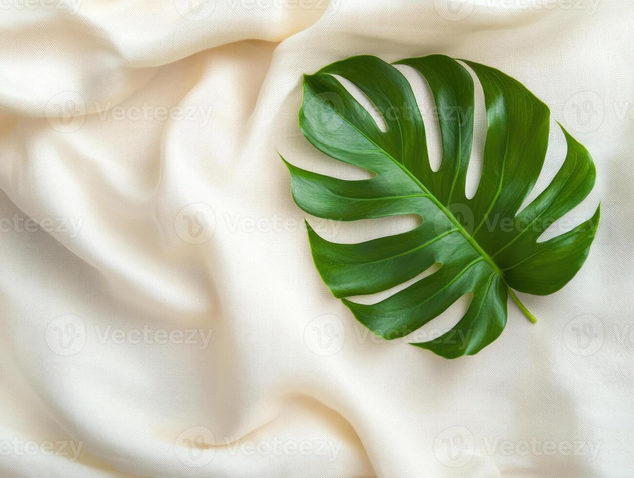 Minimalistic flat lay of green monstera leaf on soft fabric background photo