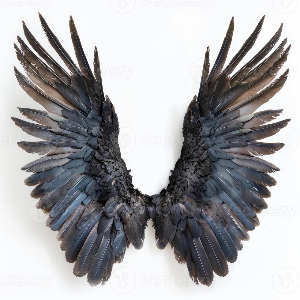 Majestic black wings spread open on white background photo