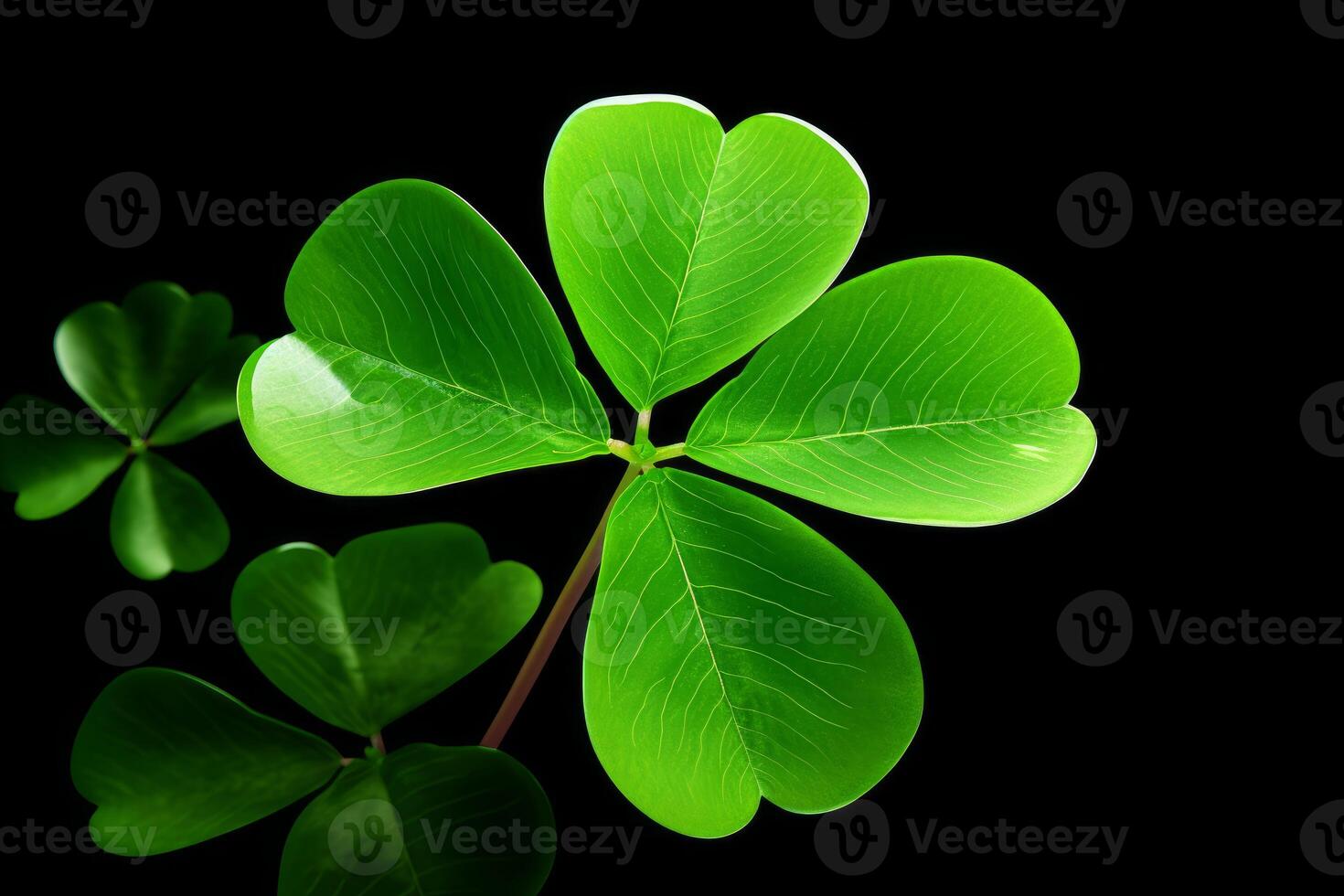 Four leaf clover shining on a dark background symbolizing luck and fortune photo