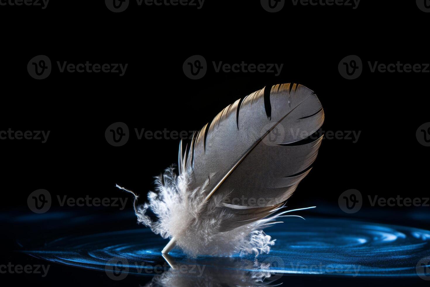 Light grey feather floating on dark blue water with black background photo