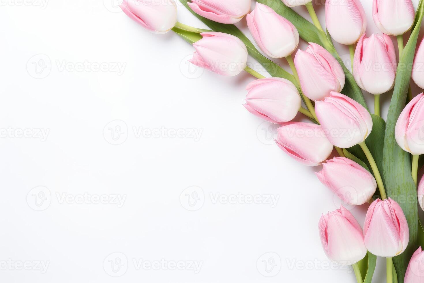Pink tulips forming a diagonal line on white background with copy space photo