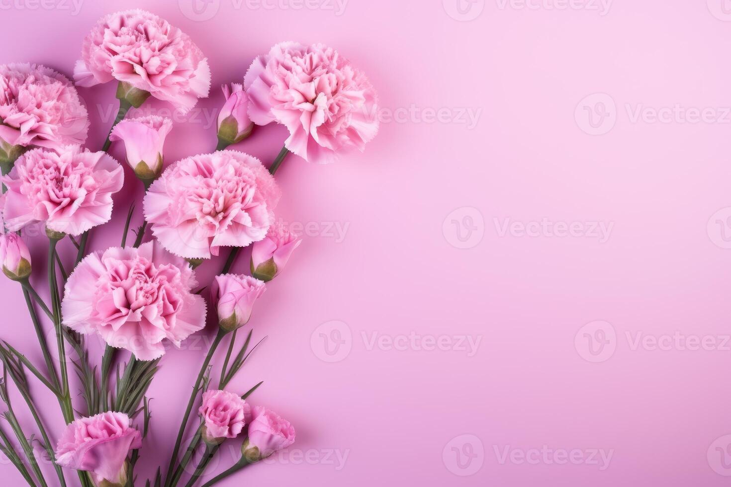 Pink carnation flowers bordering a pink background with copy space photo