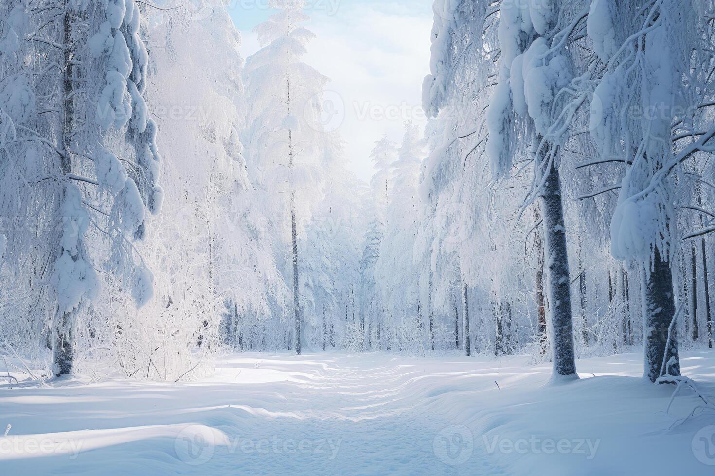 Snow covered trees creating winter wonderland forest path photo