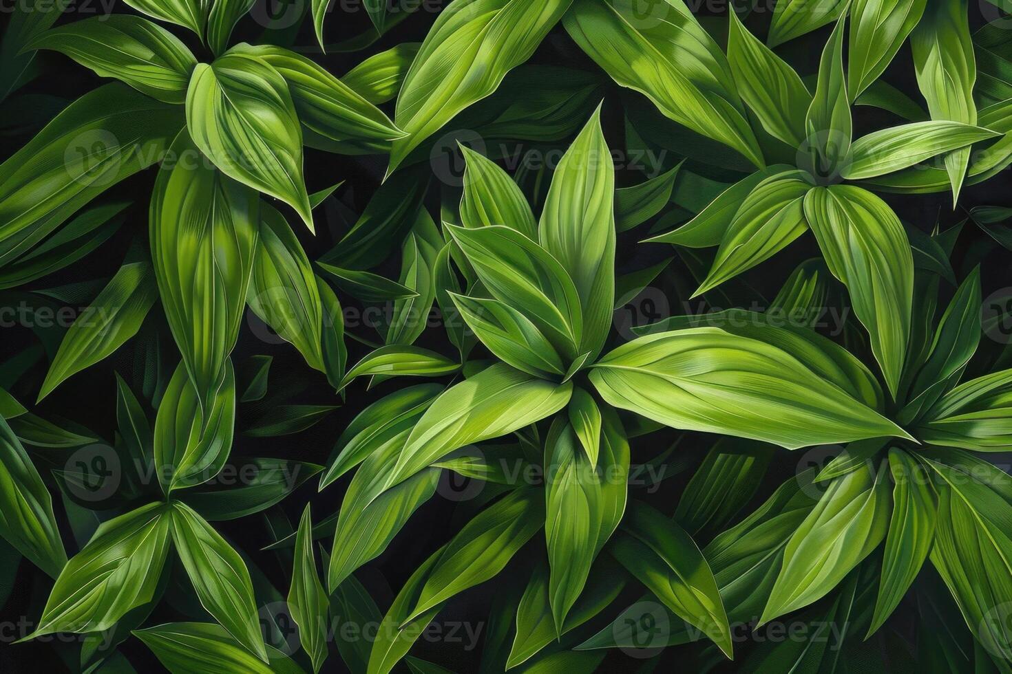 Vibrant green leaves forming lush natural background in tropical rainforest photo