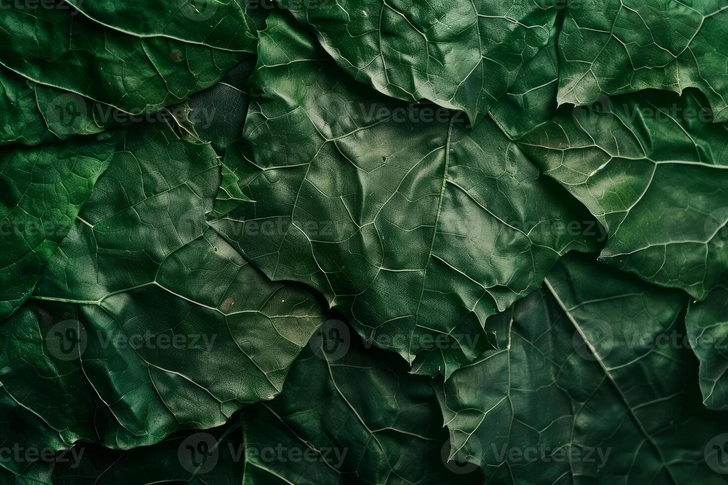 Dark green leaves creating intricate natural background texture photo