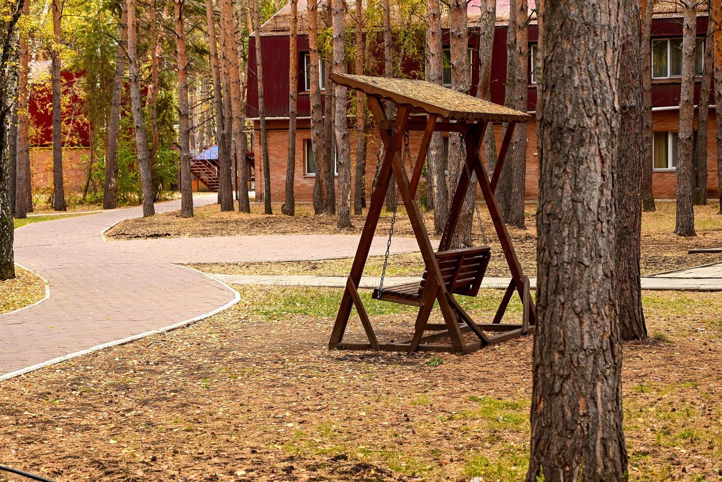 Wooden swing in the autumn forest On a beautiful sunny morning. The concept of recreation. Autumn landscape. photo